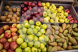 Pears with various boxes of apples