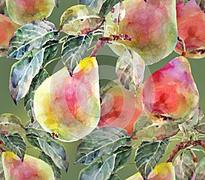 Pears , watercolor