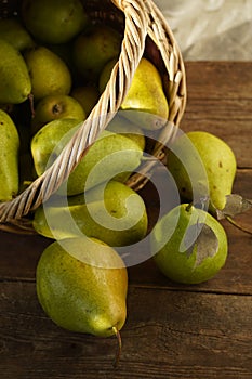 Pears on a wooden background. Fruit harvest. Autumn still life. Pear variety Bera Conference