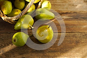 Pears on a wooden background. Fruit harvest. Autumn still life. Pear variety Bera Conference