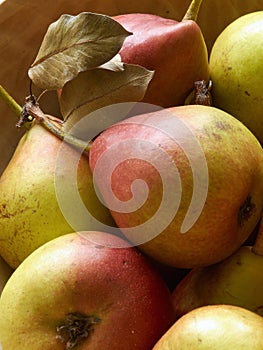 Pears on wooden bowl