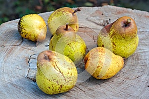 Pears on a wooden table.