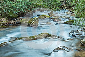 Pearsons Falls on Colt Creek