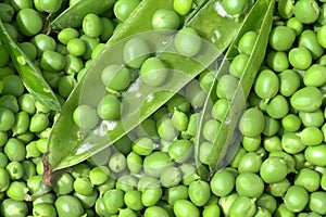 Peas