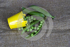 Peas in a bucket