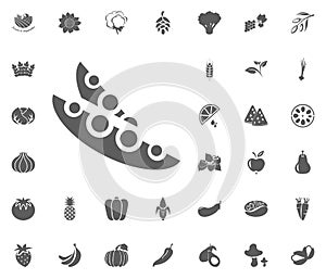 Peas icon. Fruit and Vegetables vector illustration icon set. food and plant symbols.