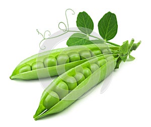 Peas isolated. Open pea pods with pea leaves on a white background.