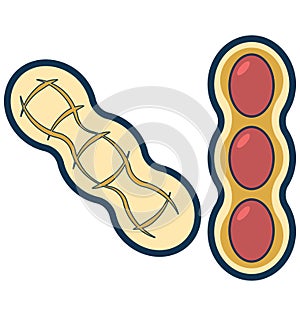 Peas Line Vector Isolated Icon customized and editable