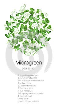peas microgreen salad