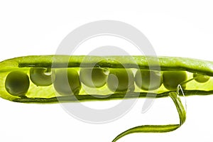 Peas in pea pod