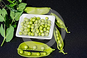 Peas Pisum sativum