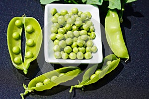 Peas Pisum sativum