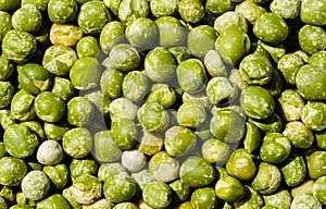 Peas Pisum sativum