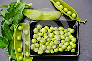 Peas Pisum sativum