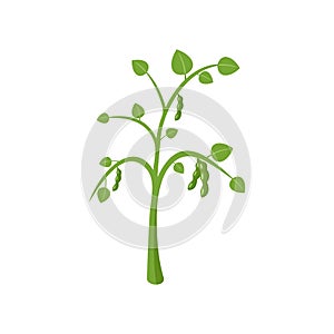 Peas plant icon, flat style