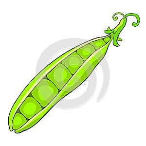 Peas in a pod vegetable natural. vector illustration