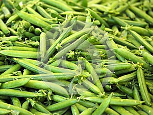 Peas In Pods For Sale