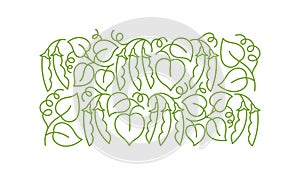 Peas or soy bean plant pattern ornament. Flourish background design element. Editable outline stroke. Vector line.