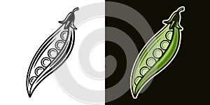 Peas vector colored illustration in two styles black on white and colored on dark background