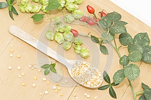 Peas in a wooden spoon, hops and rosehips