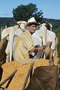 Peasant in Brazilian northeast, Brazil.