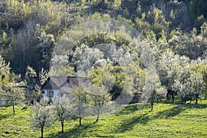 Peasant farm and orchard in the mountains of Banat, Romania