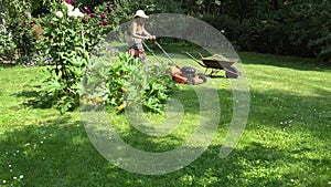 Peasant girl in dress and flip-flop mow lawn with grass cutter in yard. 4K