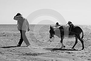 Peasant and his donkey