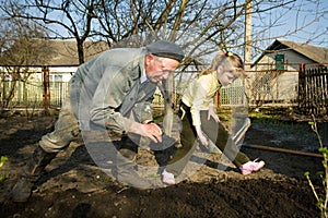 Peasant in his kitchen garden