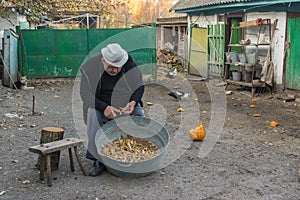 Peasant manually hulling  haricot harvest at the homestead