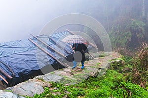 peasant walk on wet pathway over hut
