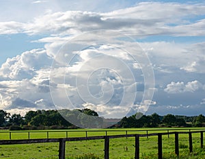 Peasantry with lush meadows, trees, fence and blue cloud sky at