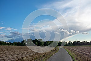 Peasantry with road, trees, fields and blue cloud sky. Location: Germany, North Rhine - Westphalia