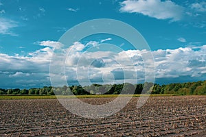 Peasantry with trees, fields and blue cloud sky