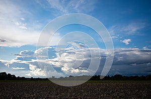 Peasantry with trees, fields and blue cloud sky at dusk. Location: Germany, North Rhine - Westphalia