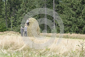 Peasants in field