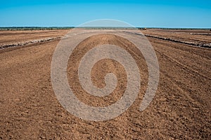 Peat agricultural field