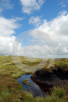 Peat Bog 01