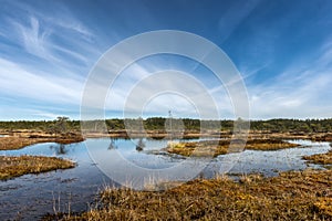 Peat bog, Estonia