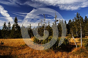 Peat-bog in Giant mountains