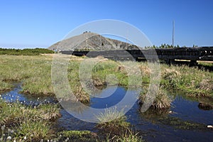 Peat bog at Giant mountains