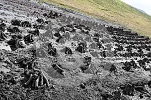 Peat Bog Harvest