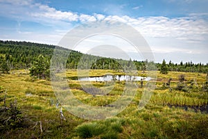 Peat bog with little lake under blue sky