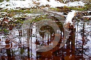 Peat bog, reflection in the water, wood and snow