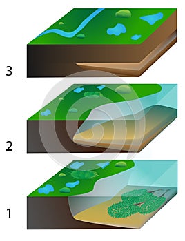 Peat formation