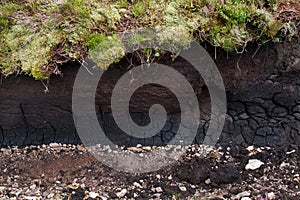 Peat, formed on a mineral subsoil