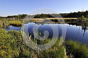 Peat lake