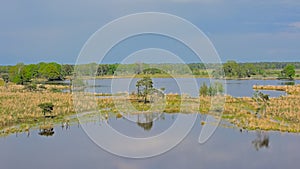 Peat lake with heath, trees and sky reflecting in the water in the Flemish countryside photo