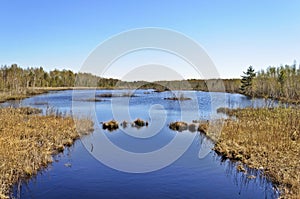 Peat lake in spring time