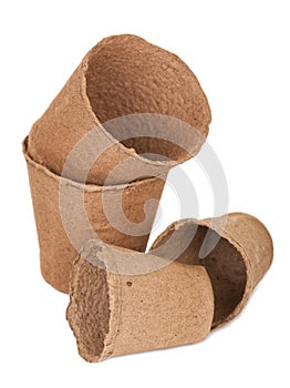 Peat pots for seedlings